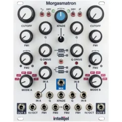 Flash Sale 🎁 Intellijel Morgasmatron ✔️