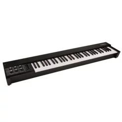 Deals 😀 Moog 953 Duophonic 61 Note Keyboard - Black ⭐